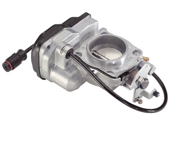 GAZ KELEBEĞİ 124   111