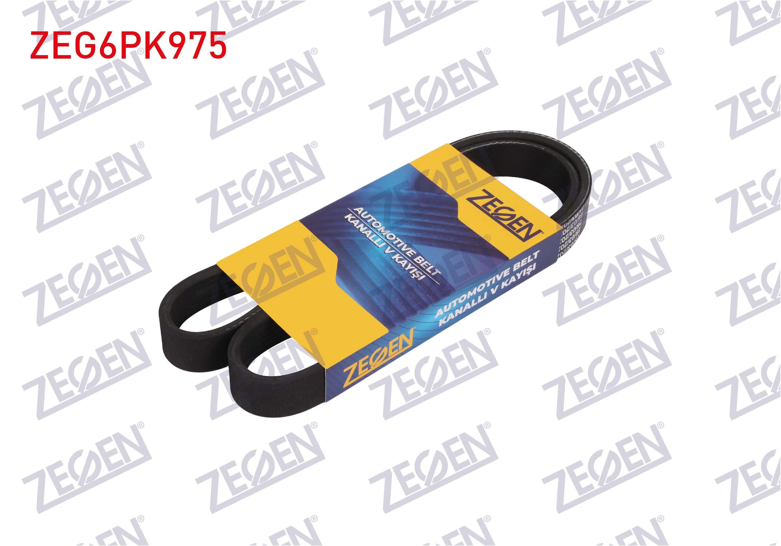 KANALLI V KAYISI 6PK975 CITROEN BERLINGO/ C2/ C3/ C4/C5/ PEUGEOT 207/ 307/ FORD FIESTA VI/ FOCUS II/ VW GOLF III-IV/ PASSAT 1.4-1.6-1.8 HDI