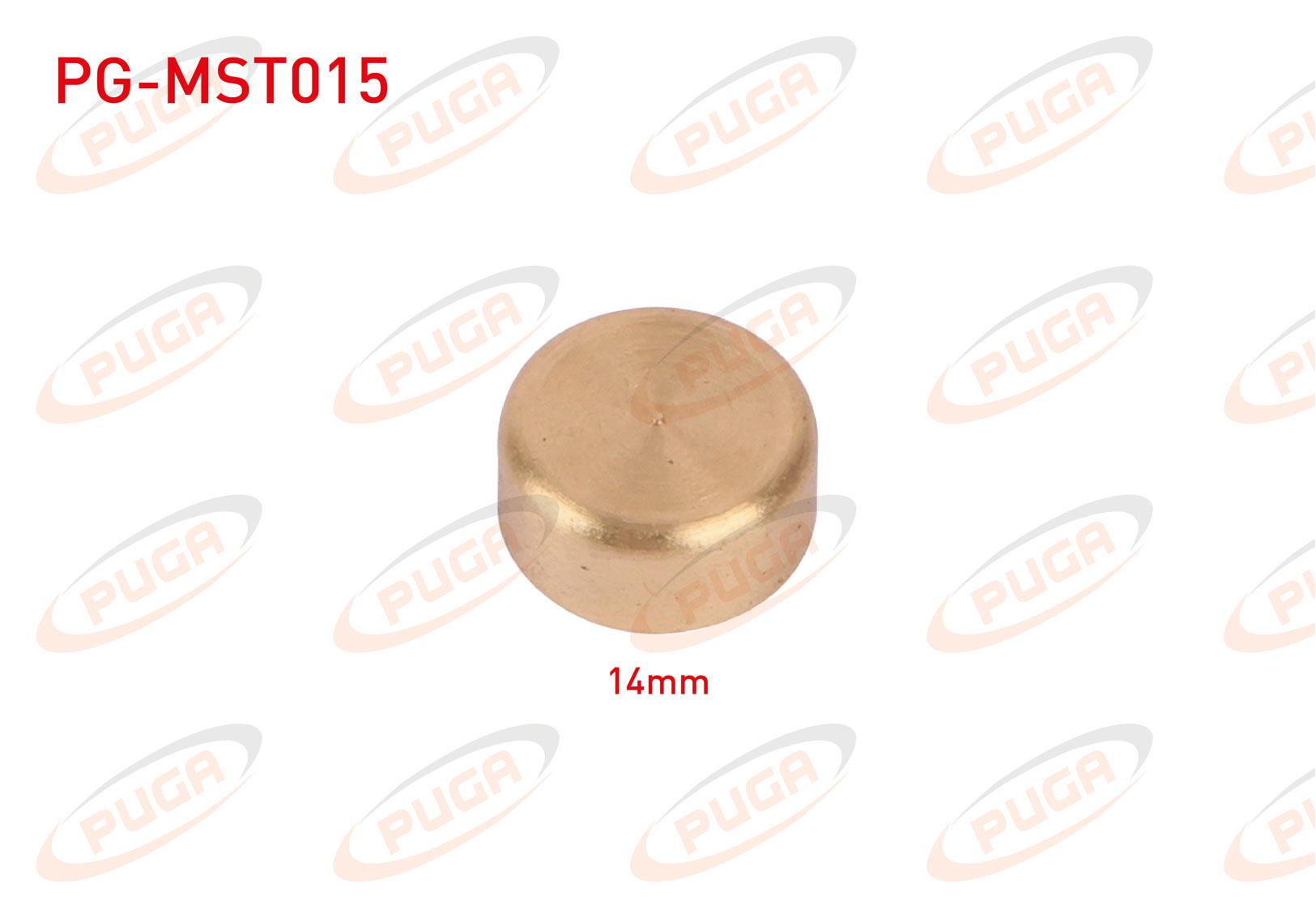 MOTOR BLOK SU TAPASI 14mm SARI PIRINC