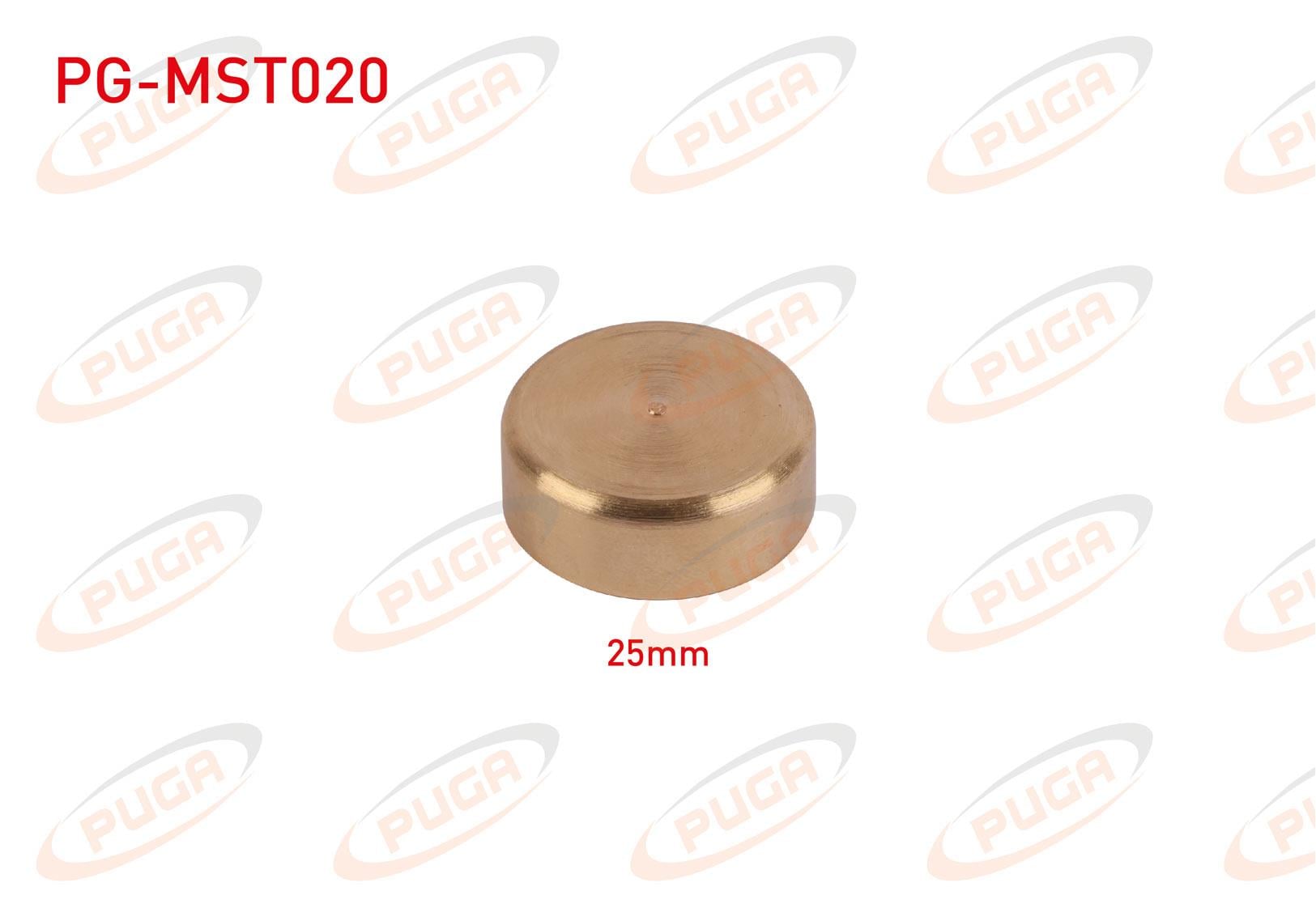 MOTOR BLOK SU TAPASI 25mm SARI PIRINC