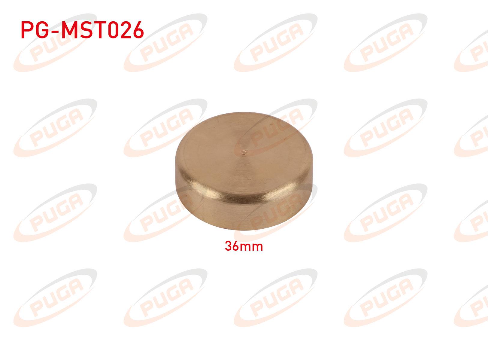 MOTOR BLOK SU TAPASI 36mm SARI PIRINC