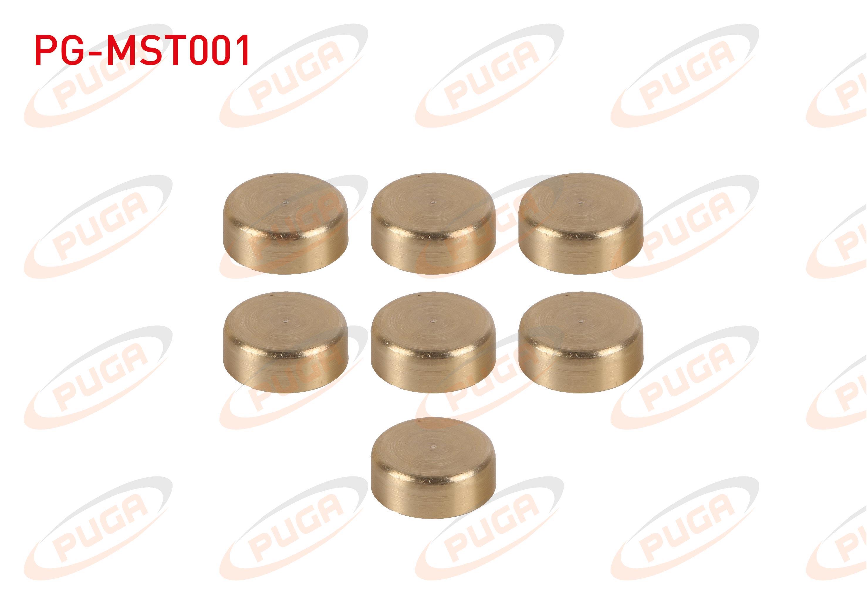 MOTOR SU BLOK TAPASI TAKIM SARI PIRINC LINEA / DOBLO / EGEA / PALIO / ALBEA 1.3 MTJ