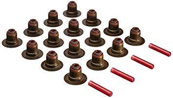 SUBAP KEÇESİ TAKIM 16 ADET  W10-W11