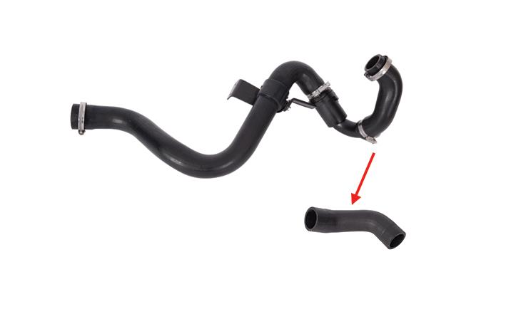 TURBO HORTUMU
PLASTİK BORU HARİÇ
OK İLE GÖSTERİLEN KÜÇÜK HORTUM RENAULT KANGOO I 1.5 DCI
RENAULT CLIO II  1.5 DCI
