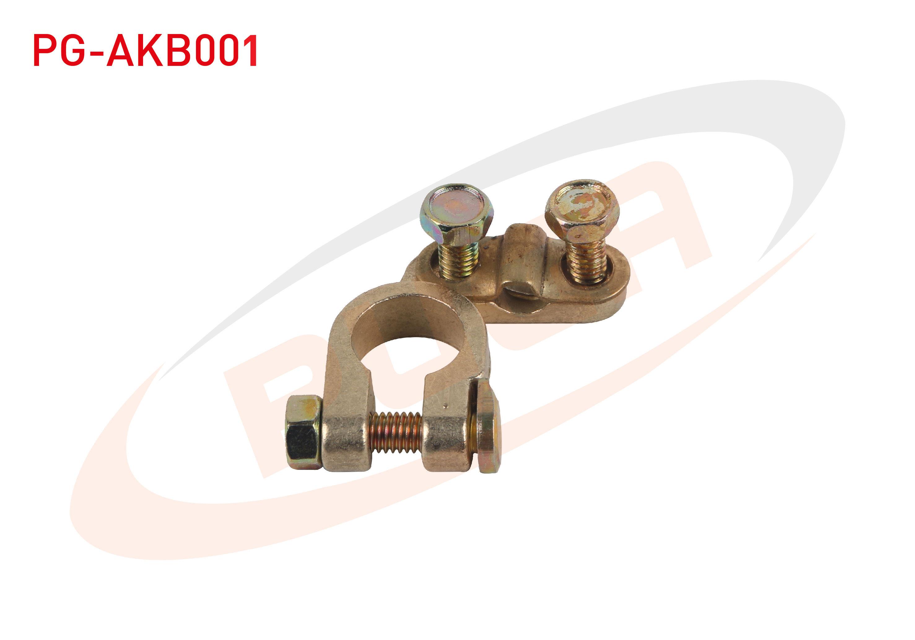 AKU KUTUP BASI + DKS