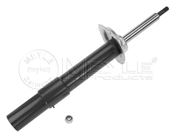 AMORTİSÖR ÖN STANDARD SAĞ BÜTÜN TİPLER E60