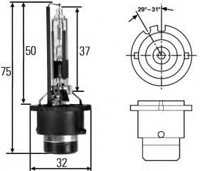 AMPUL XENON D2R