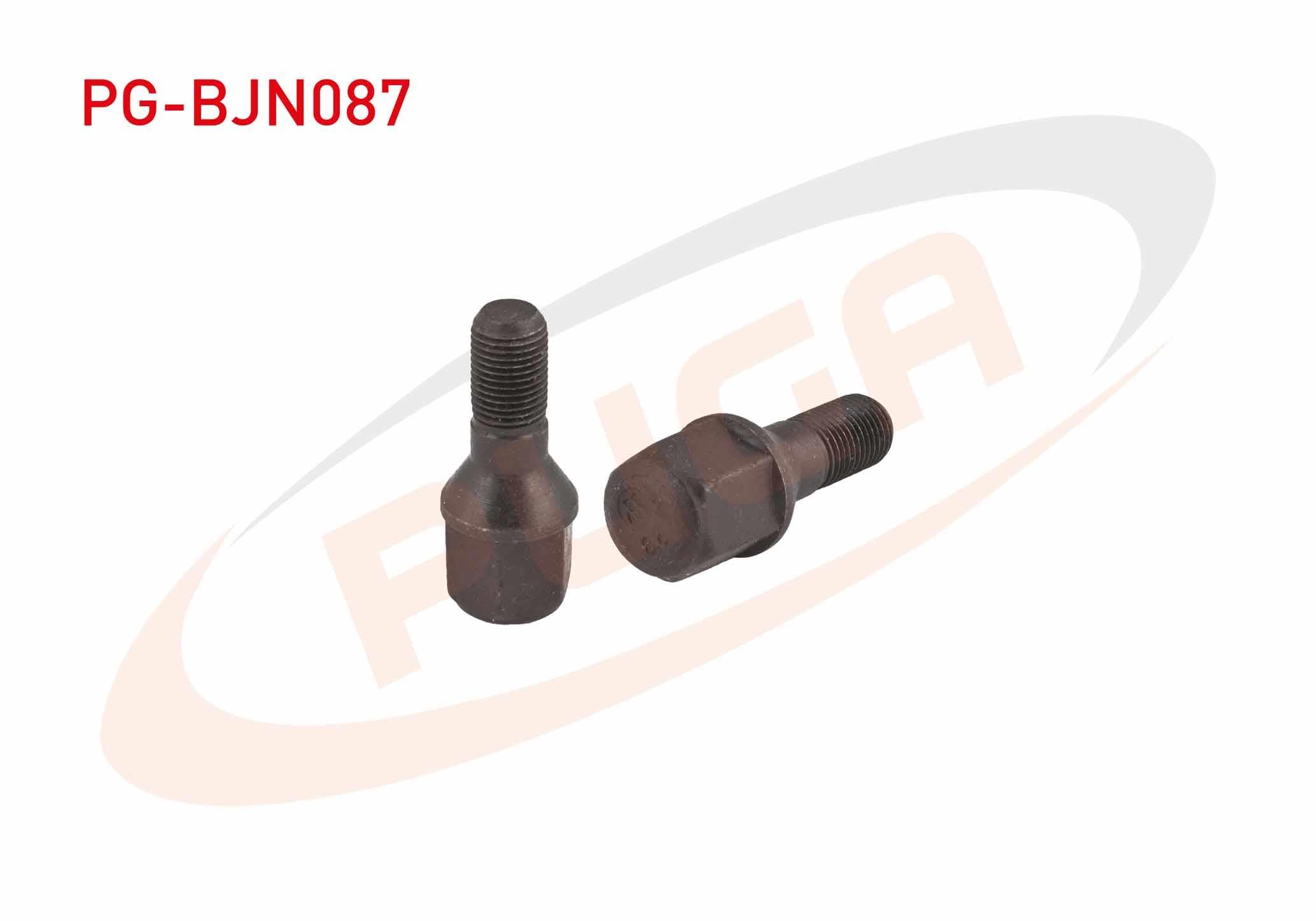 BIJON CIVATASI PEUGEOT 206 / 207 / 307 (E.M) AA.19