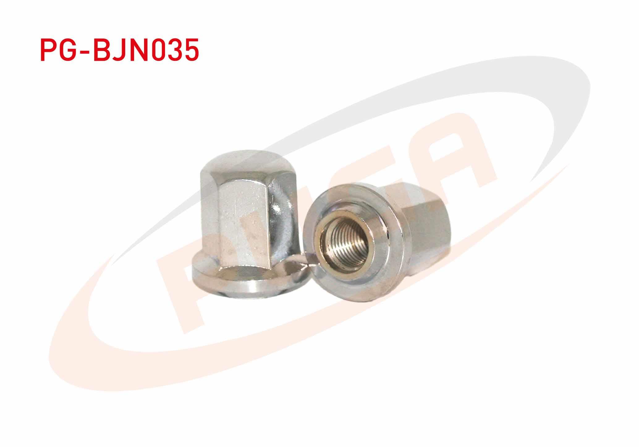 BIJON SOMUNU KROMAJLI RENAULT R 12 AA.19
