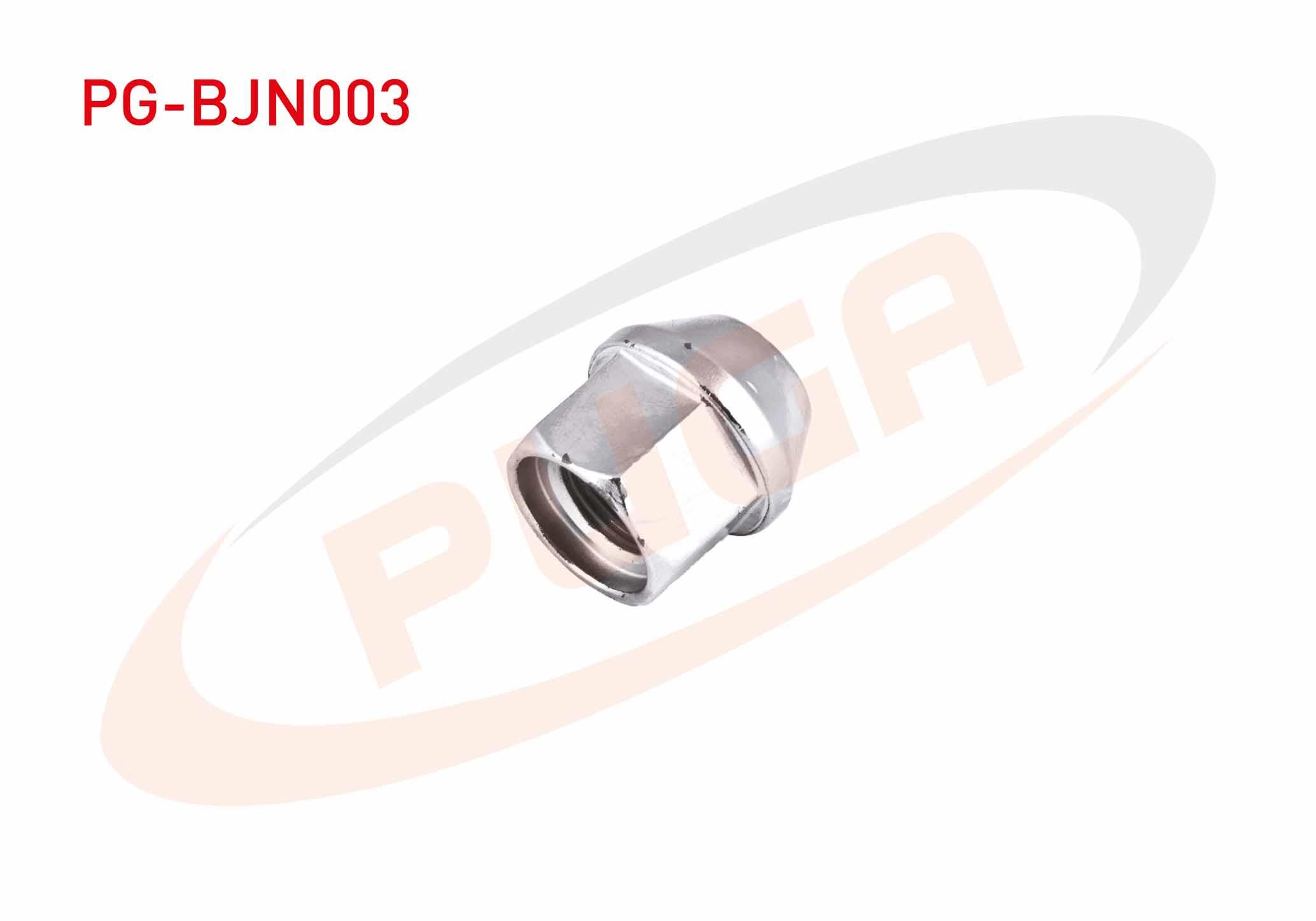 BIJON SOMUNU RENAULT MASTER AA.24