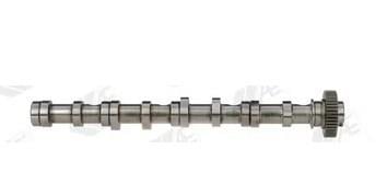 EKSANTRİK MİLİ ÇELİK EMME / 1,6 TDI-2,0 TDI CADDY-POLO-GOLF6-PASSAT-CRAFTER-T6-A3-T5 CAGA-CAGB-CAHA-CAYB-CAYC-CBAA-CBAB-CFFA-CFFB-CKUB-CAAB 1,6 TDİ
