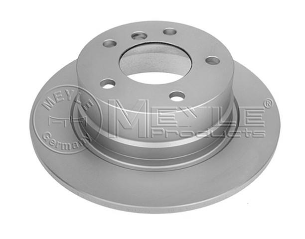 FREN DİSK AYNASI ARKA  E85