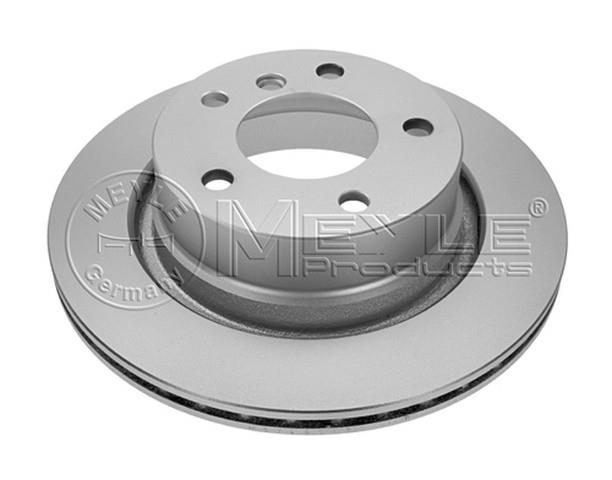 FREN DİSK AYNASI ARKA  E85