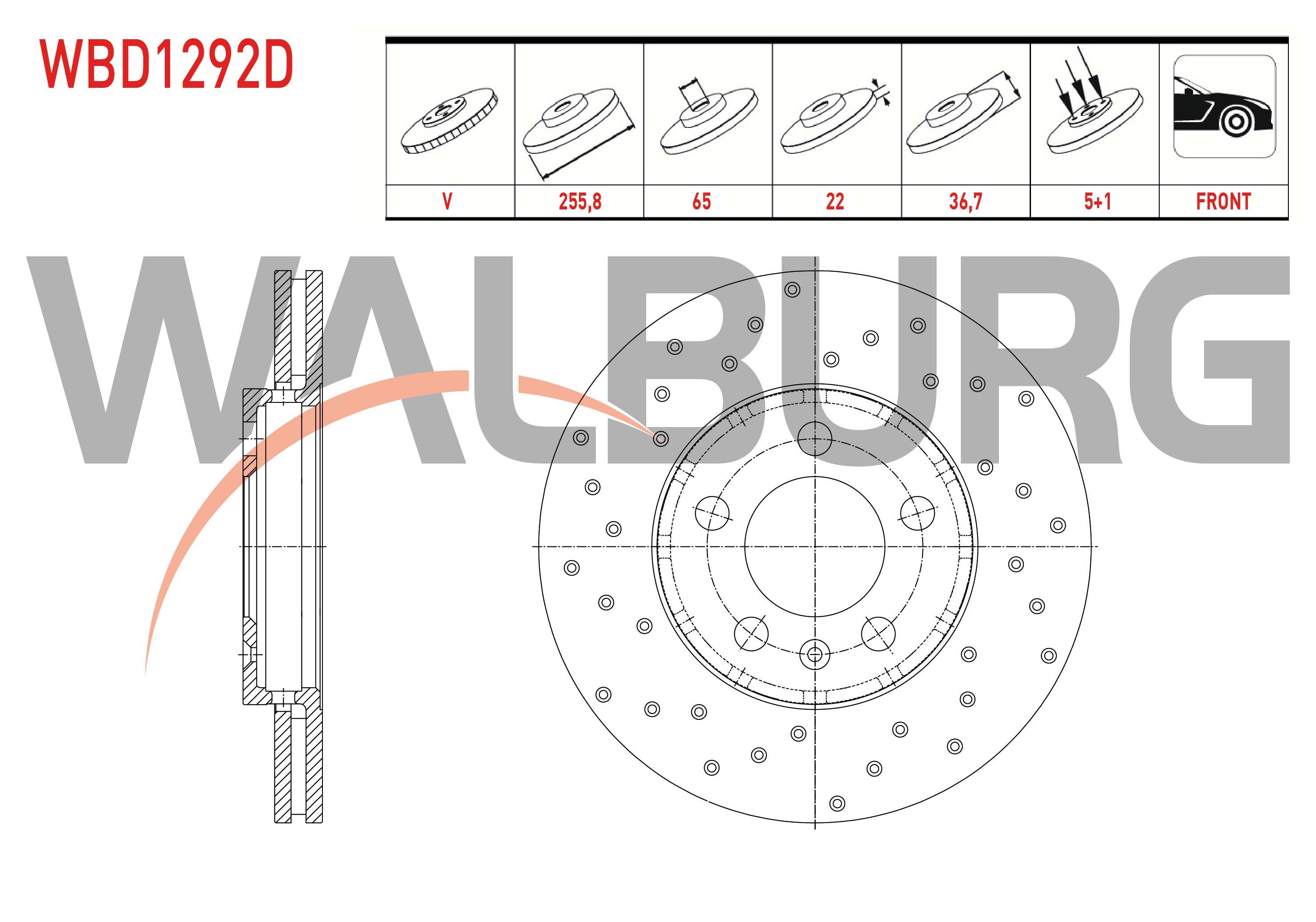 FREN DISKI ON HAVALI PERFORMANS DELIKLI 5 BJN 255,8X22X65X36,7 VOLKSWAGEN GOLF IV (1J1) 1.4i 16v 1997-2005