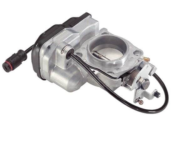 GAZ KELEBEĞİ 124   111