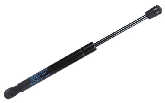 KAPUT AMORTİSÖRÜ F10