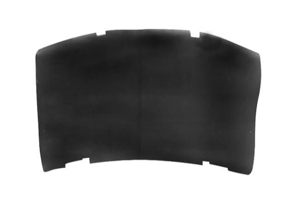 KAPUT SÜNGERİ W202