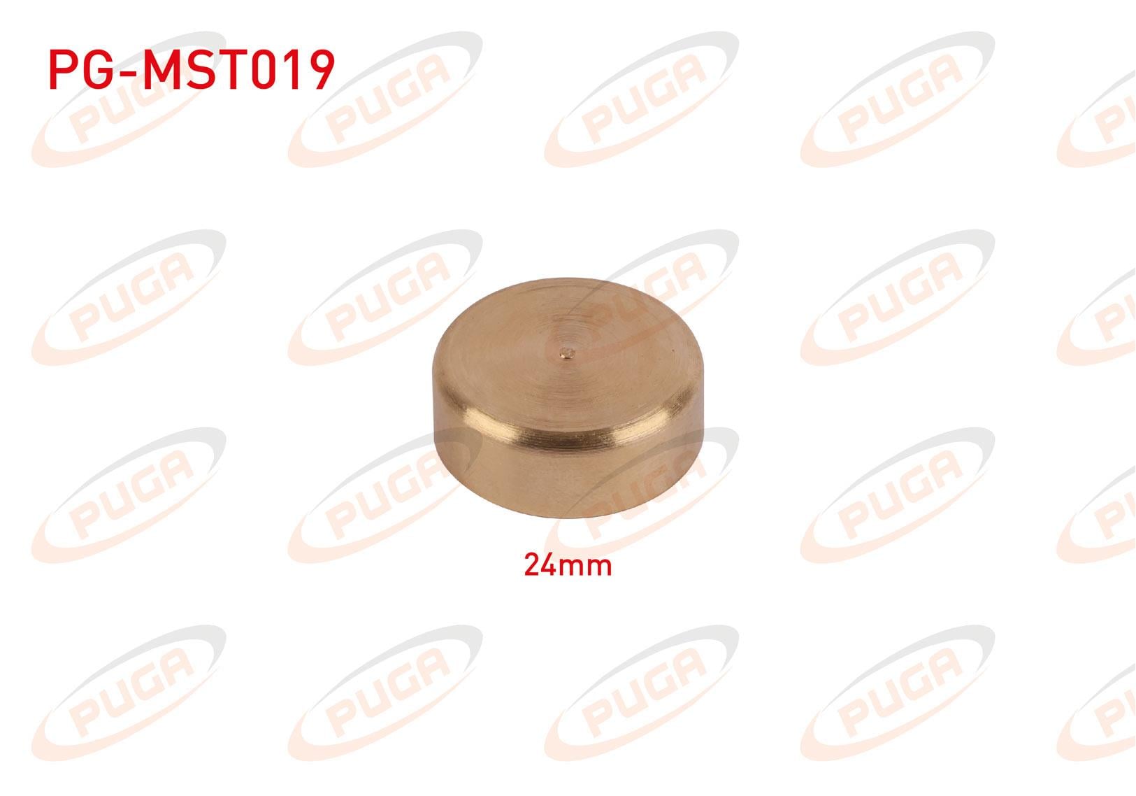MOTOR BLOK SU TAPASI 24mm SARI PIRINC