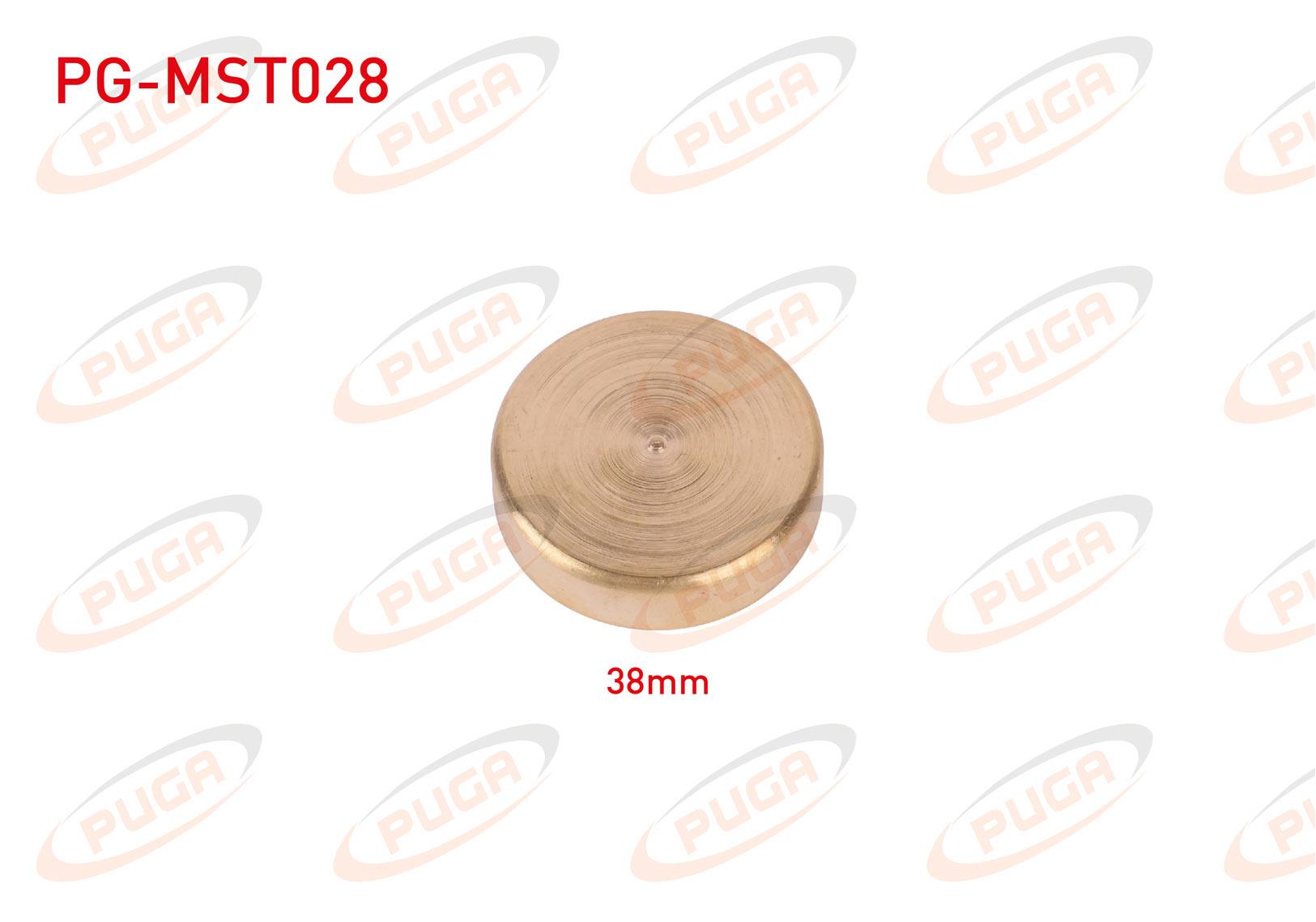 MOTOR BLOK SU TAPASI 38mm SARI PIRINC