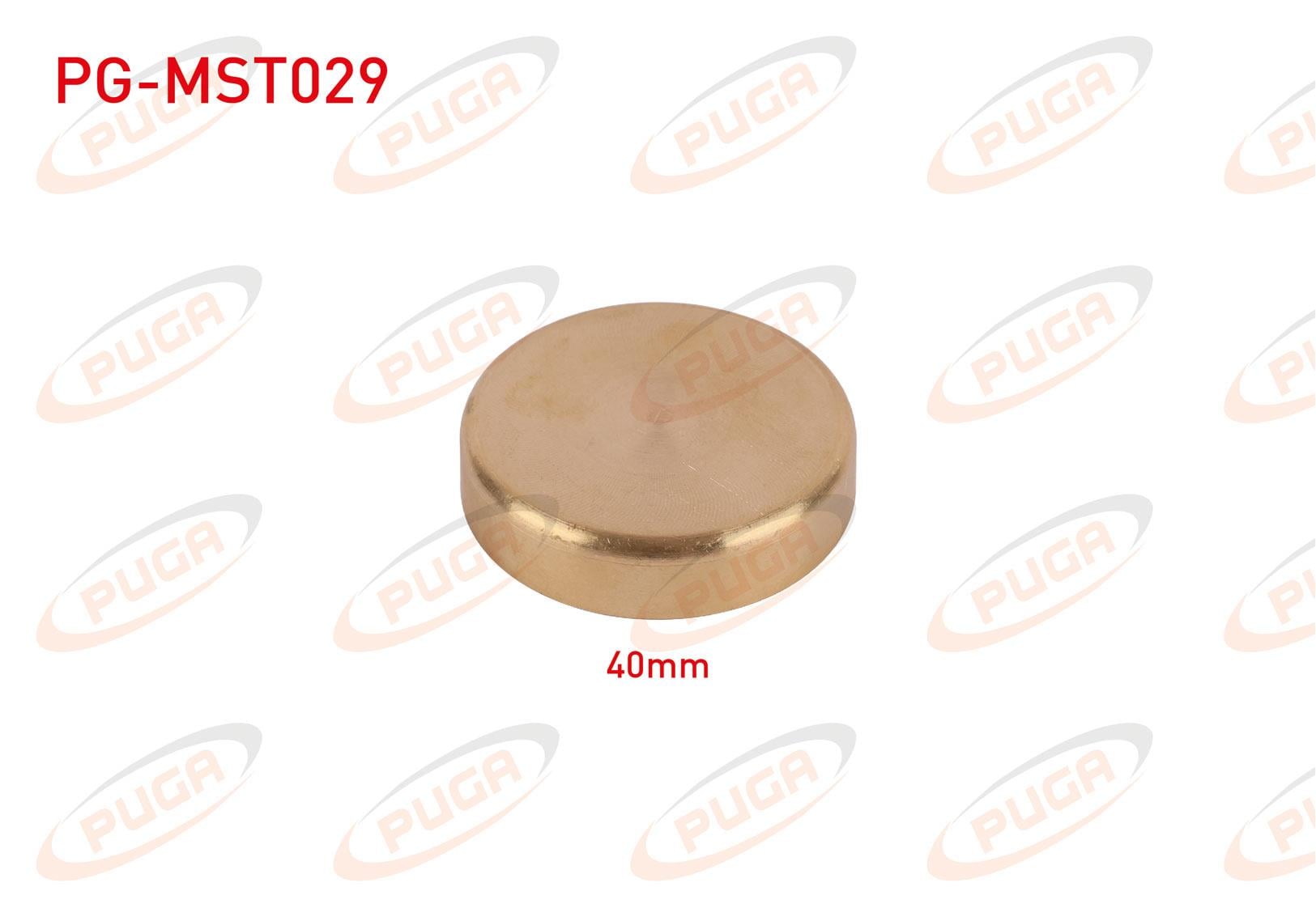 MOTOR BLOK SU TAPASI 40mm SARI PIRINC