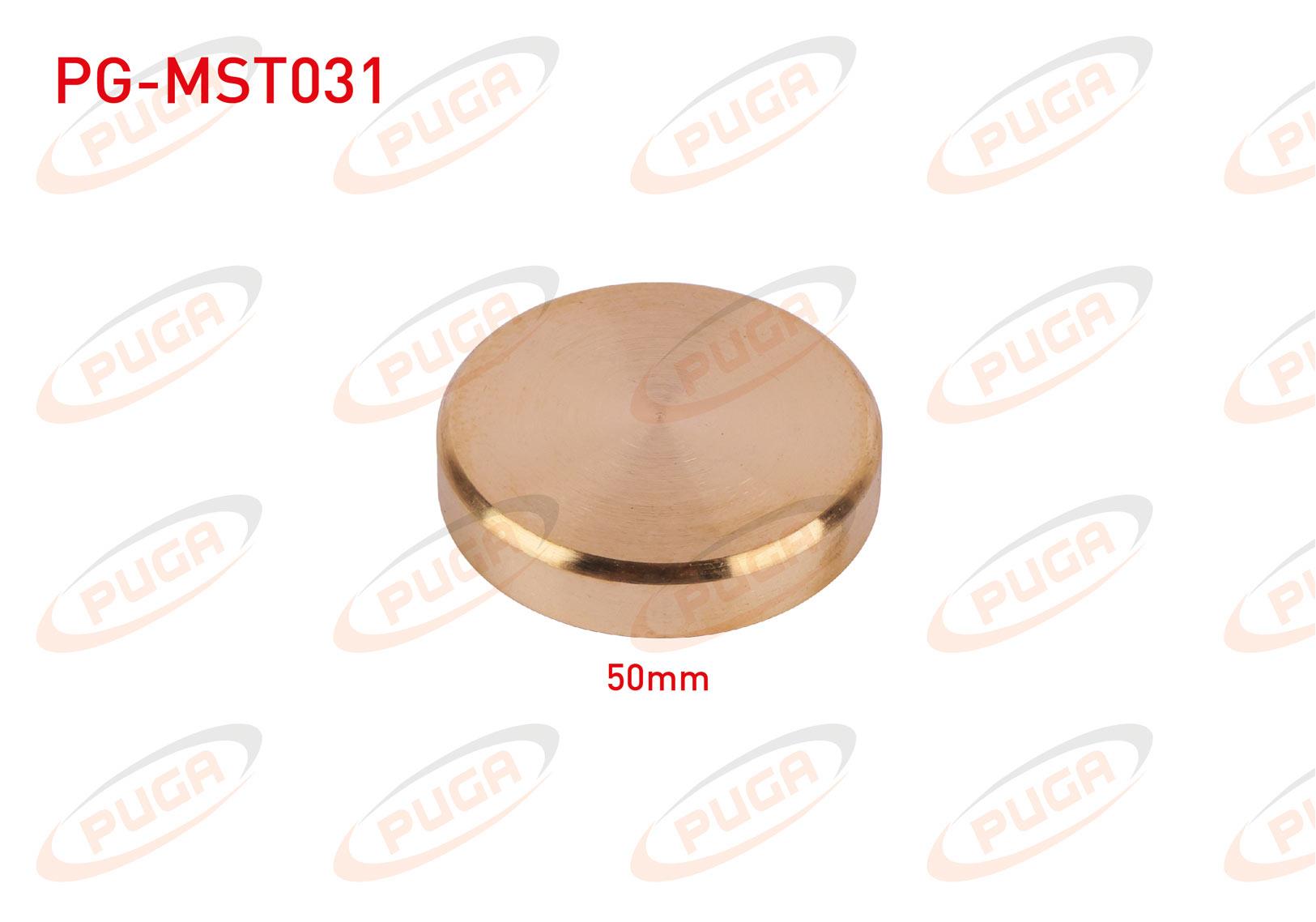 MOTOR BLOK SU TAPASI 50mm SARI PIRINC