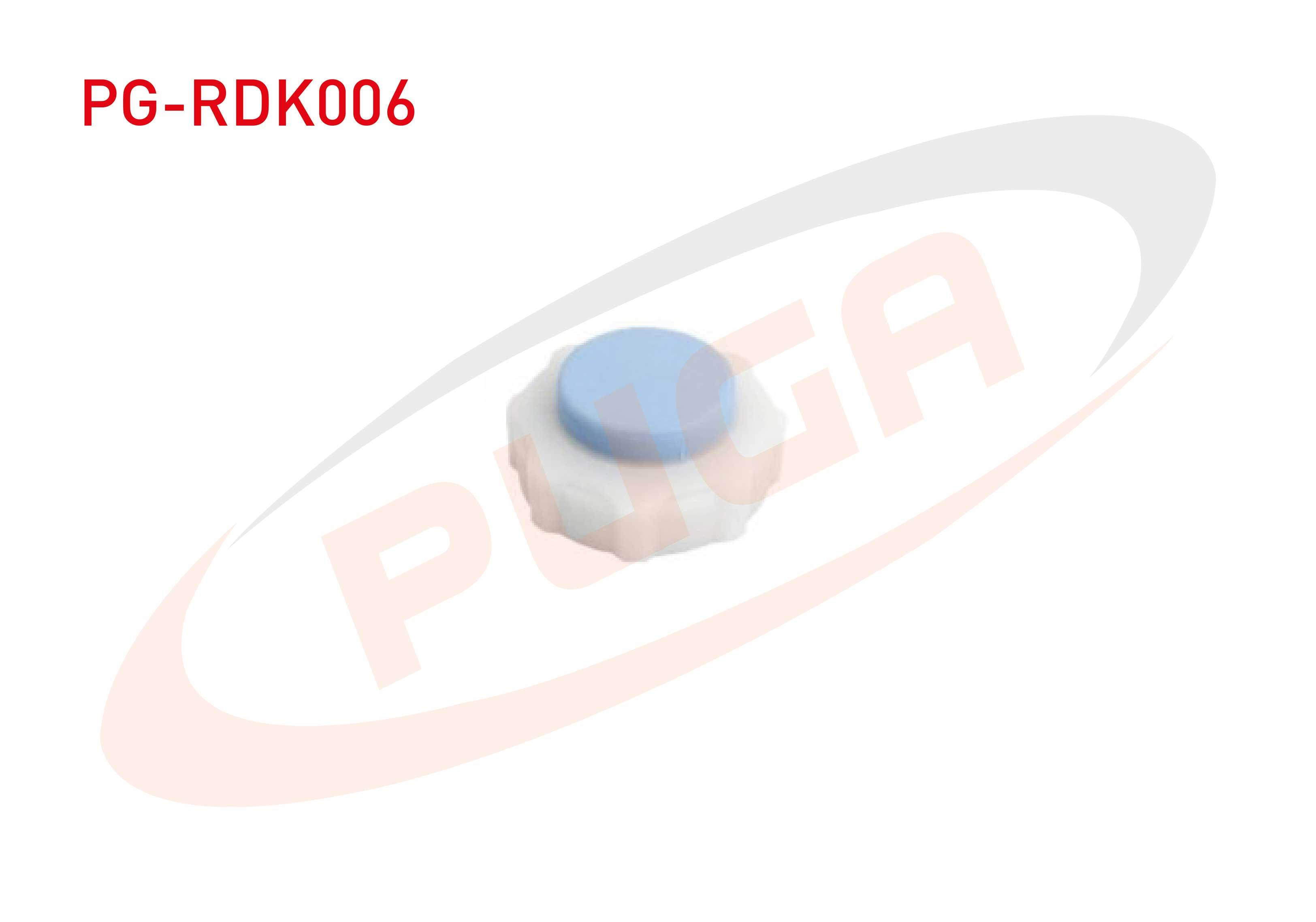 RADYATOR YEDEK SU DEPO KAPAGI MAVI R9 R11 R12 TOROS R19 R21 CLIO I KANGOO MEGANE / LOGAN