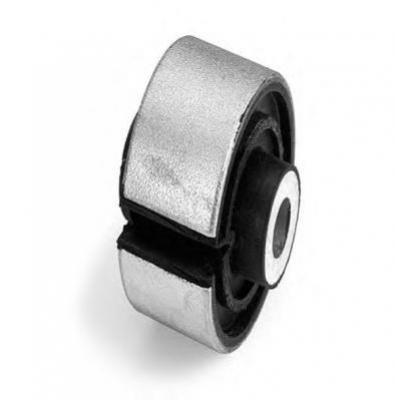 SALINCAK BURCU ARKA  E39