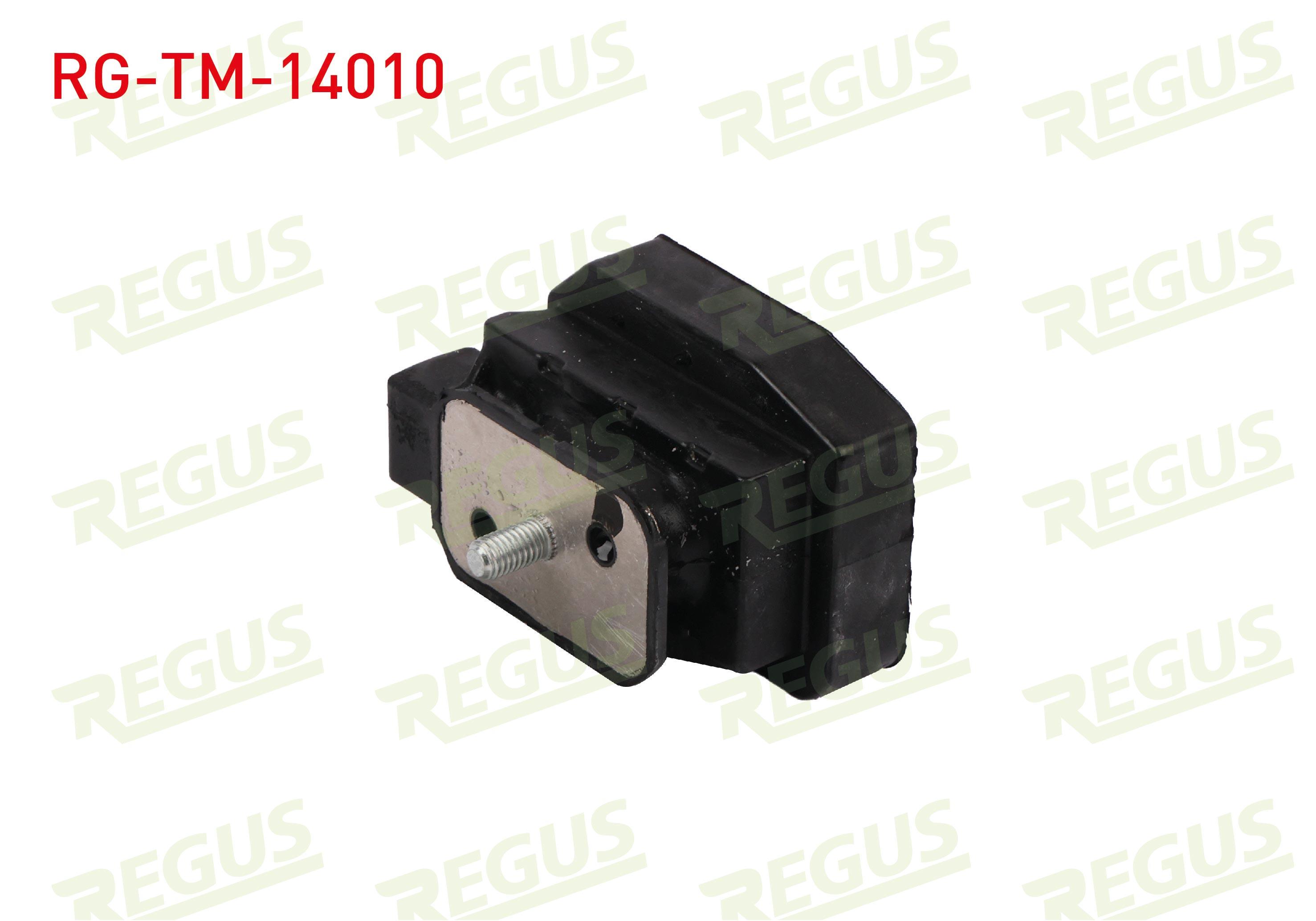 SANZIMAN TAKOZU ARKA SOL-SAG BMW 5 SERISI (E60) 520 D 2003-2010