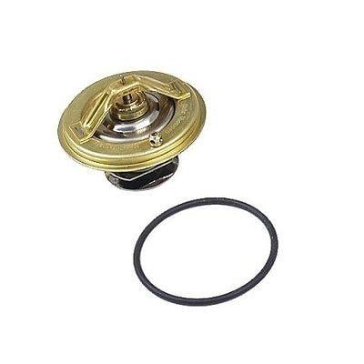 TERMOSTAT E34-38   M60