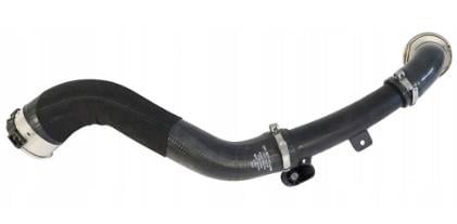 TURBO HORTUMU BÜYÜK PLASTİK BORU HARİÇ MEGANE IV SCÉNIC IV TALISMAN 1.3 TCe 140 144602115R 144600186R