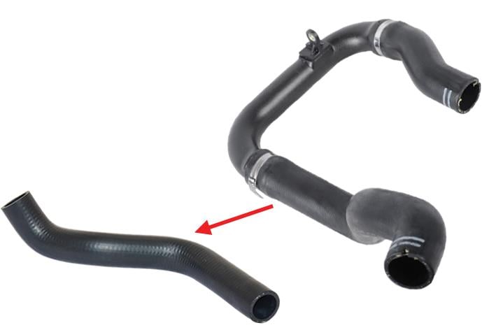 TURBO HORTUMU
PLASTİK BORU HARİÇ
OK İLE GÖSTERİLEN BÜYÜK HORTUM FIAT GRANDE PUNTO 1.3 MULTIJET  75 HP