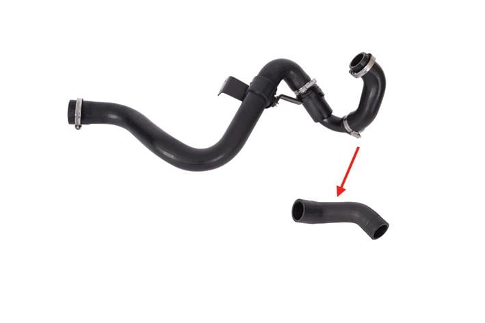 TURBO HORTUMU
PLASTİK BORU HARİÇ
OK İLE GÖSTERİLEN KÜÇÜK HORTUM RENAULT KANGOO I 1.5 DCI
RENAULT CLIO II  1.5 DCI