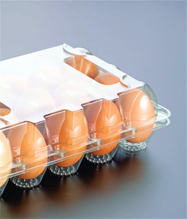 AMBALAJ KAPLARIIZPACK 10LU YUMURTA KABI 500LÜ