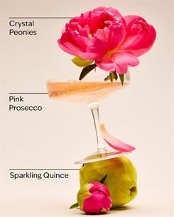 A Thousand Wishes / Lip Gloss