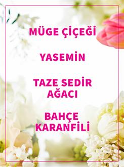 Brightest Bloom / Seyahat Boy Kadın Parfüm