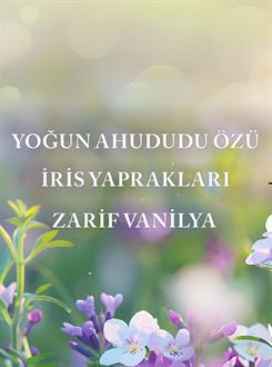 Butterfly / Hediye Seti