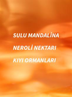 Calypso Clementine / Oda Spreyi