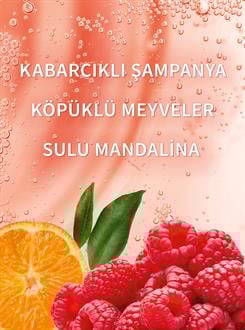 Champagne Toast / Seyahat Boy Duş Jeli