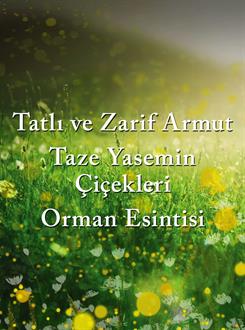 Chasing Fireflies /Seyahat Boy Kadın Parfüm