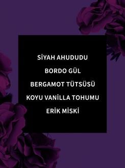 Dark Kiss / Nemlendirici Vücut Losyonu