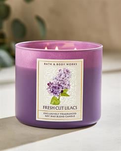 Fresh Cut Lilacs / Büyük Mum