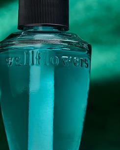 Mulan / Oda Kokusu Yedeği