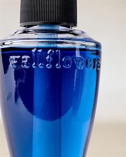 Ocean Town Bound / Oda Kokusu Yedeği