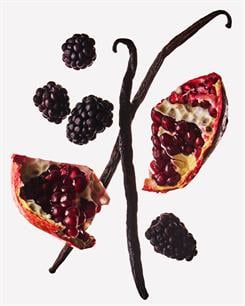 Pomegranate & Blackberry / Köpük Sabun