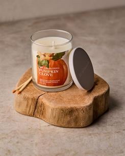Pumpkin Clove / Orta Boy Mum
