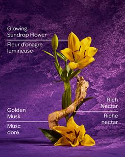 Rapunzel / Işıltılı Vücut Spreyi