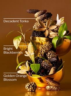 Touch of Gold / Vücut Peelingi