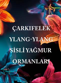 Tropidelic / Duş Jeli