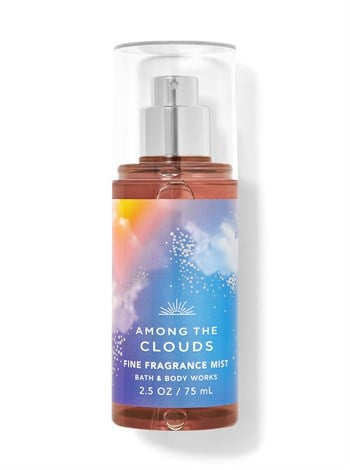 AMONG THE CLOUDS