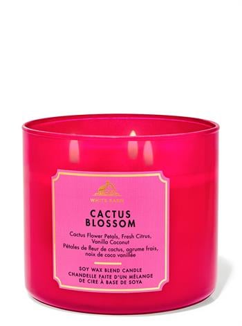 Cactus Blossom / Büyük Mum